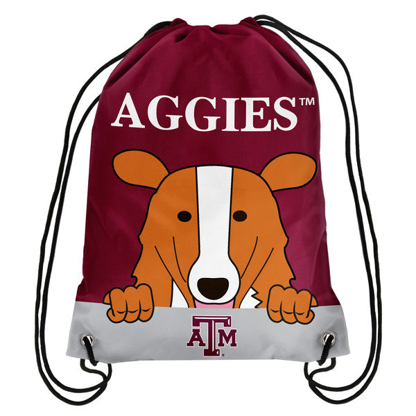 Mojo Black Texas A&M Aggies Softside Carry-On & Backpack Set